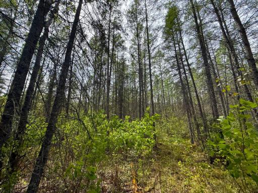 72XX E Central Lakes Road Lot G, Eveleth, MN 55734