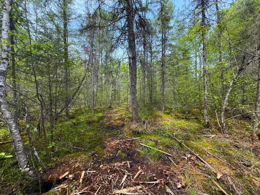 72XX E Central Lakes Road Lot G, Eveleth, MN 55734