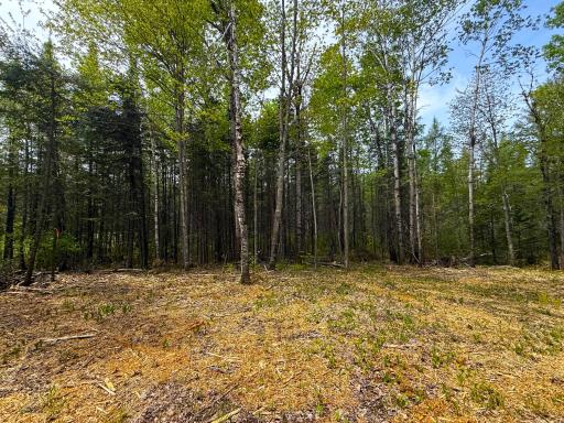 72XX E Central Lakes Road Lot G, Eveleth, MN 55734