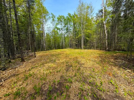 72XX E Central Lakes Road Lot G, Eveleth, MN 55734