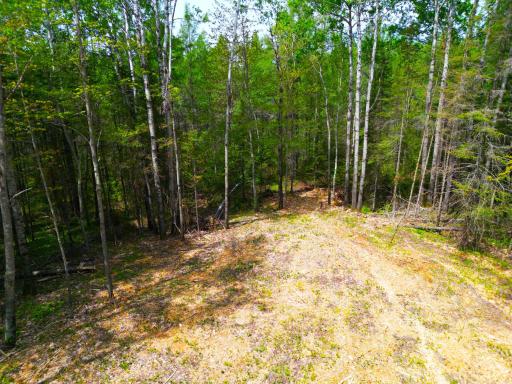 72XX E Central Lakes Road Lot G, Eveleth, MN 55734