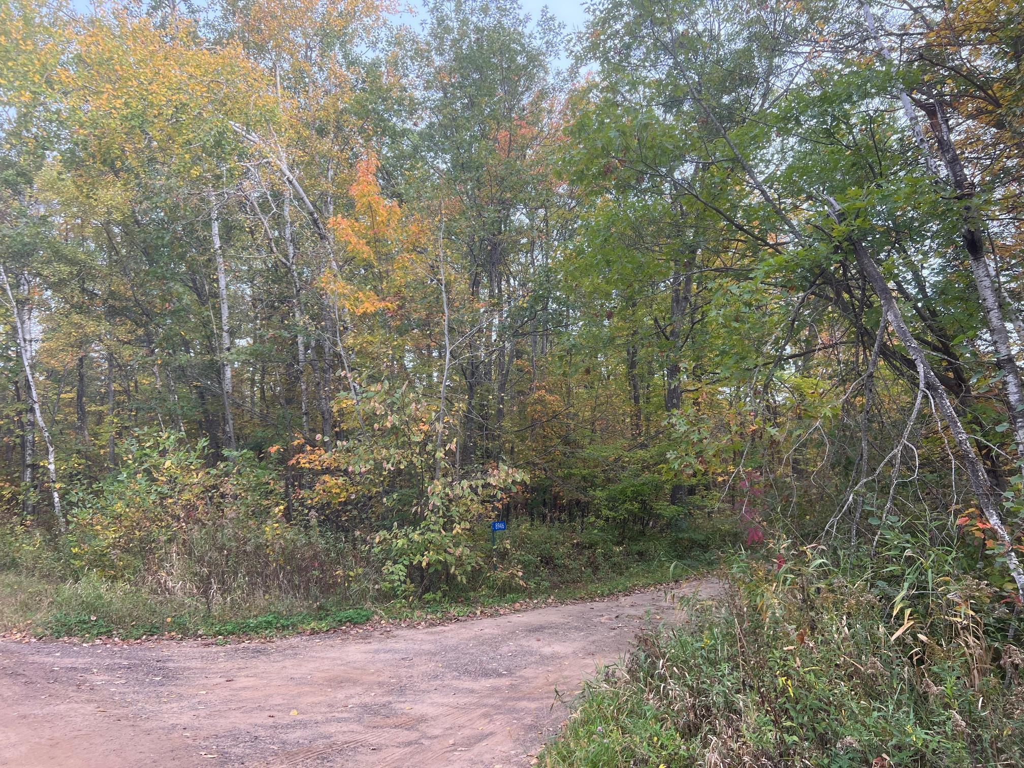 Forestry Road Entrance off Red Oak