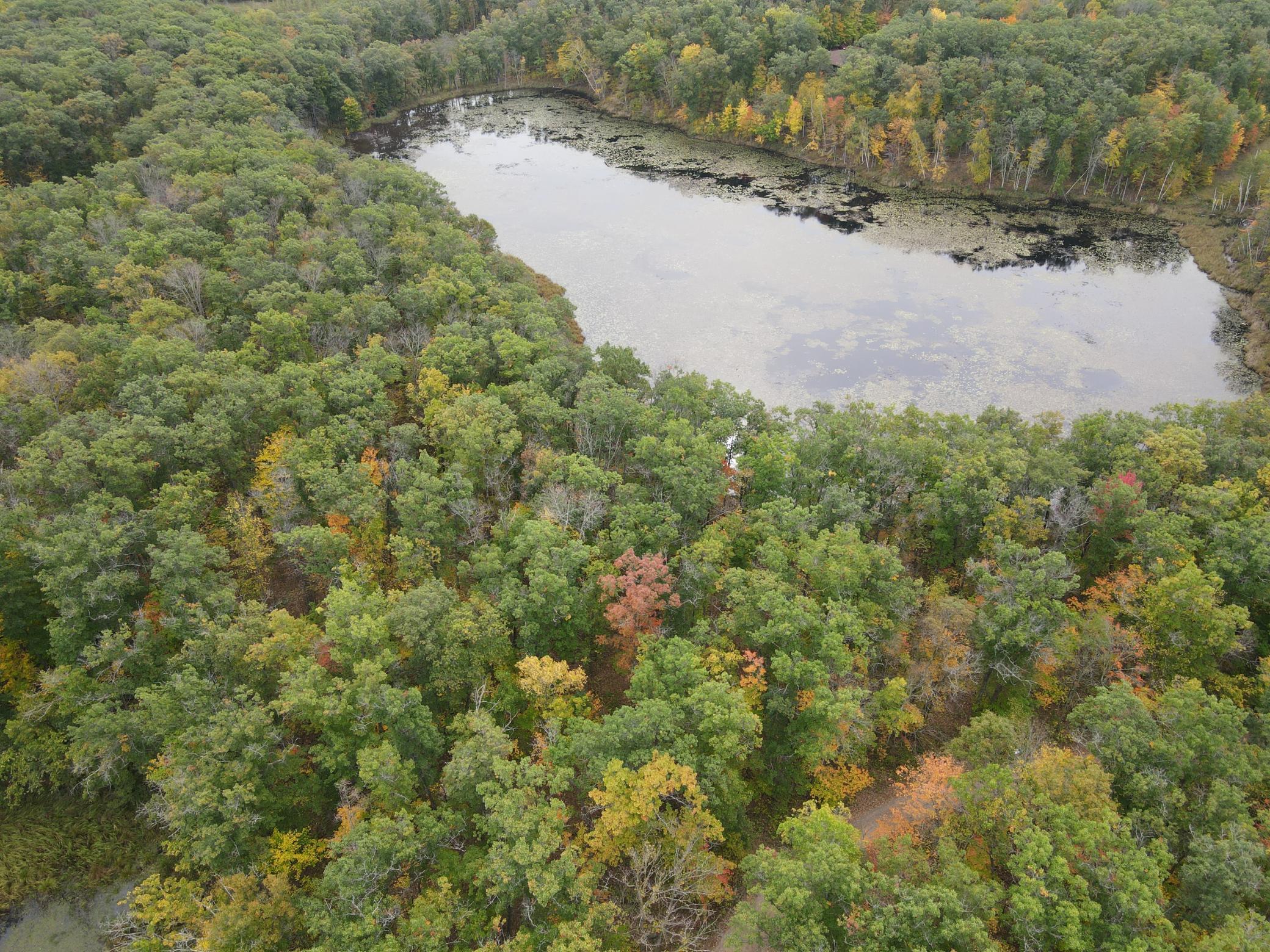 View overlooking the 8 acre pond