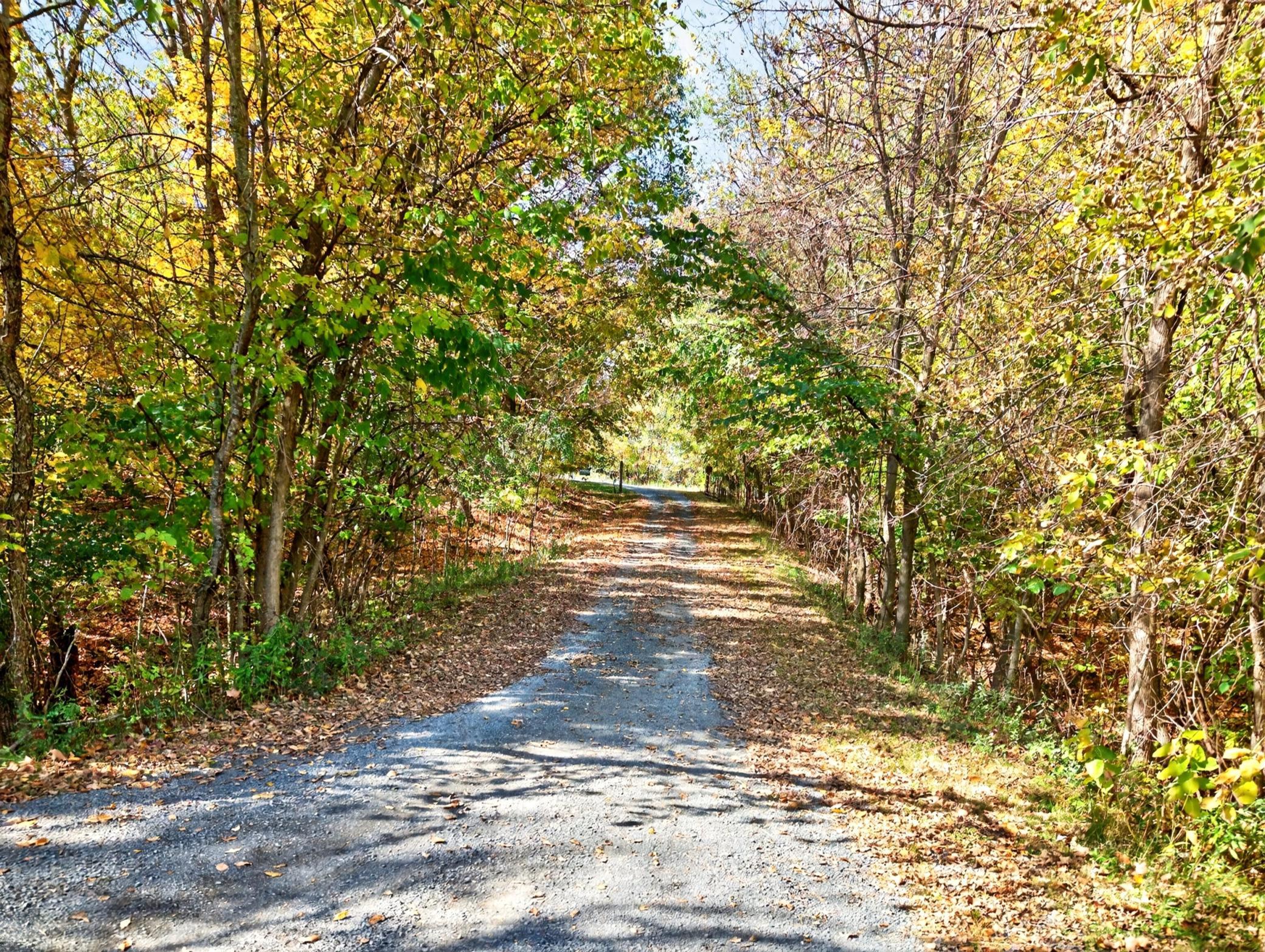 driveway.jpg