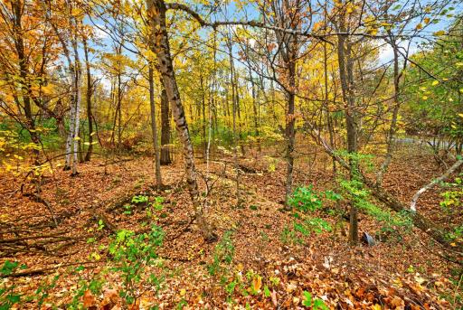 2870 218th Street, Cushing, WI 54006