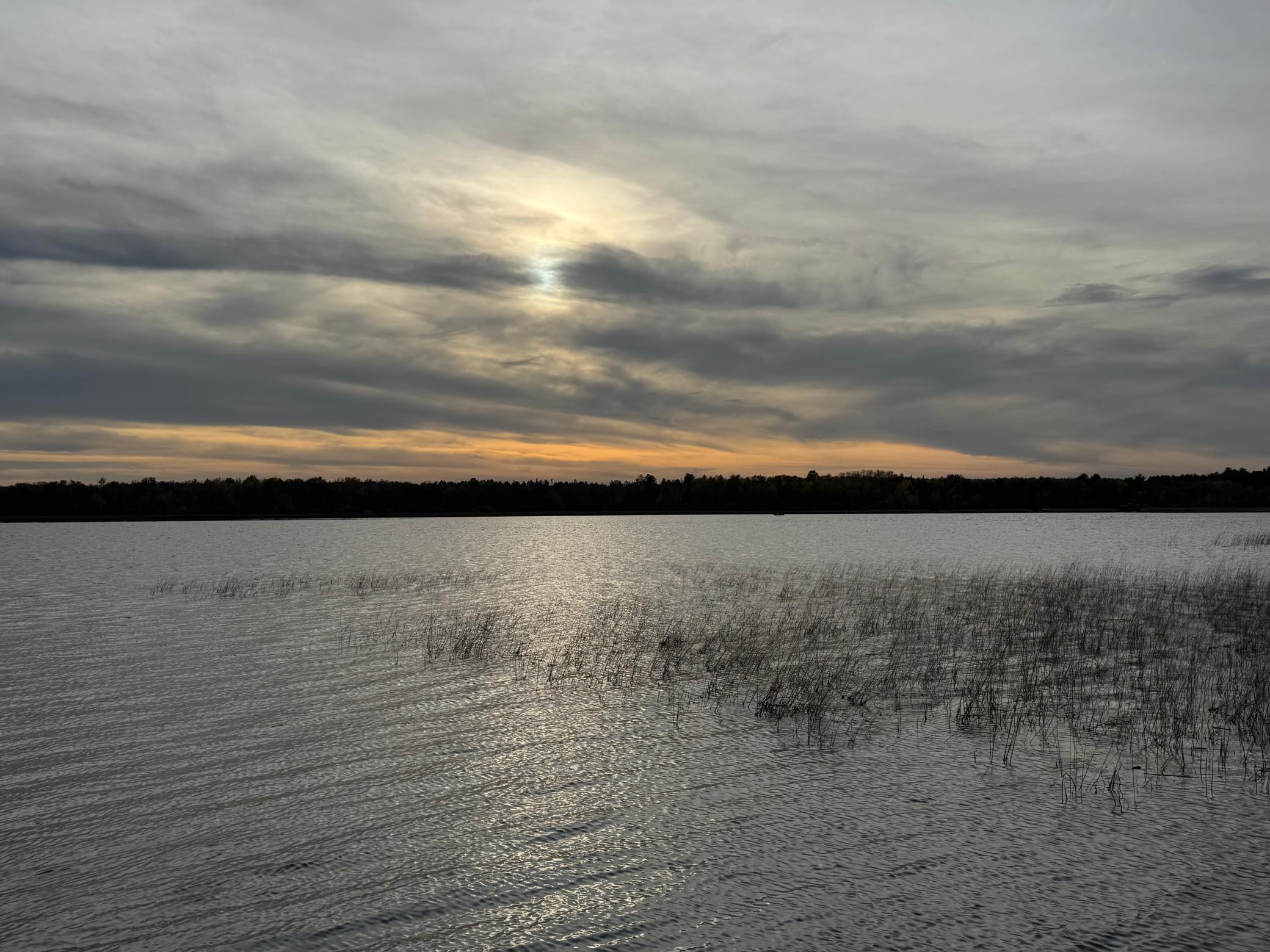 Photo 50
