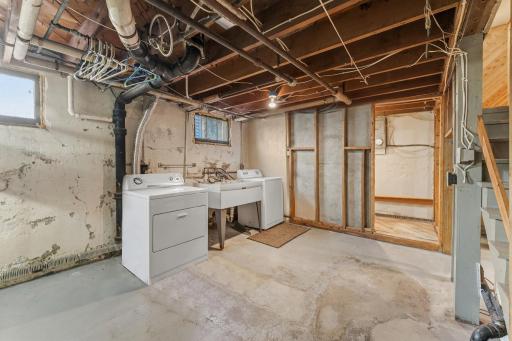Laundry and Shower area in basement