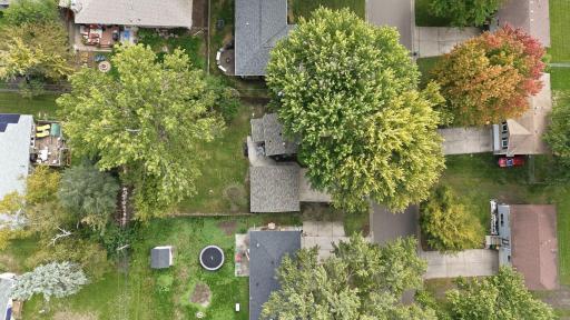 29-web-or-mls-DJI_20261005142253_0245_D.jpg