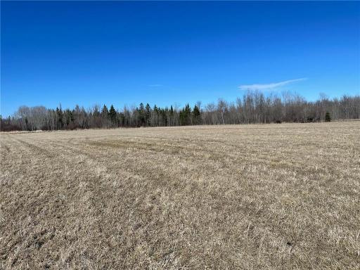 TBD County Hwy #133, Meadowlands, MN 55765