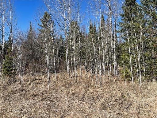 TBD County Hwy #133, Meadowlands, MN 55765