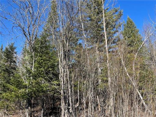 TBD County Hwy #133, Meadowlands, MN 55765