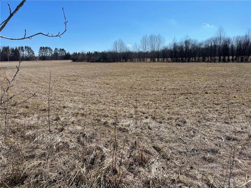 TBD County Hwy #133, Meadowlands, MN 55765