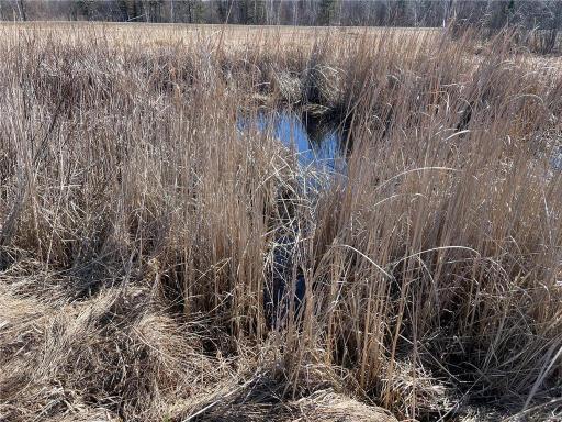 TBD County Hwy #133, Meadowlands, MN 55765