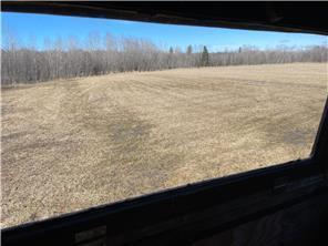 TBD County Hwy #133, Meadowlands, MN 55765