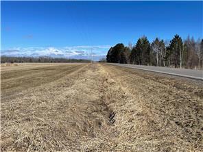 TBD County Hwy #133, Meadowlands, MN 55765