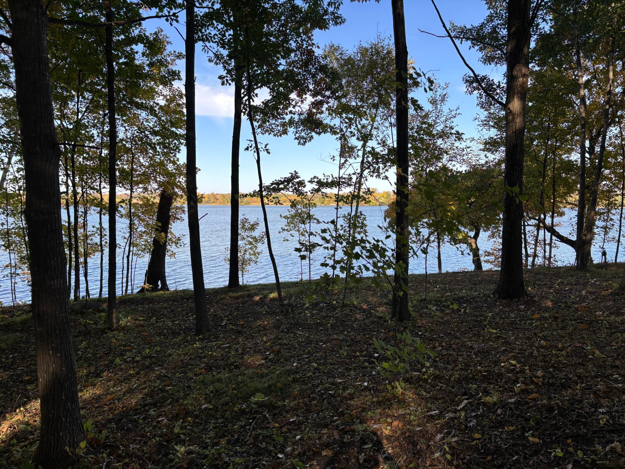 IMG_2833.jpeg