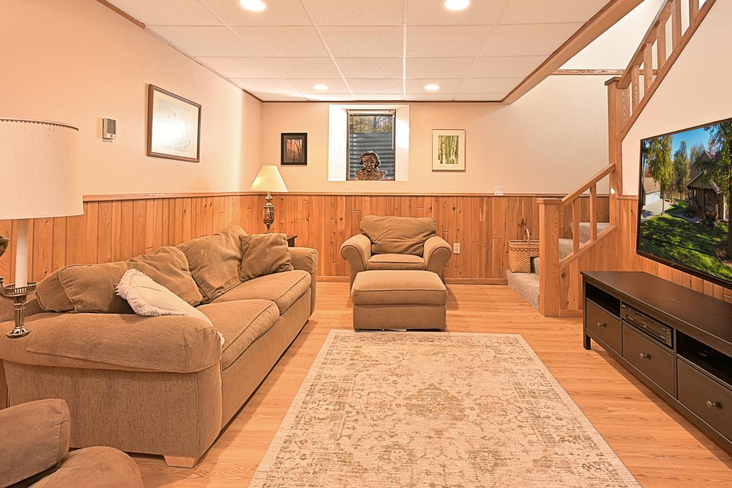 Lower level living room