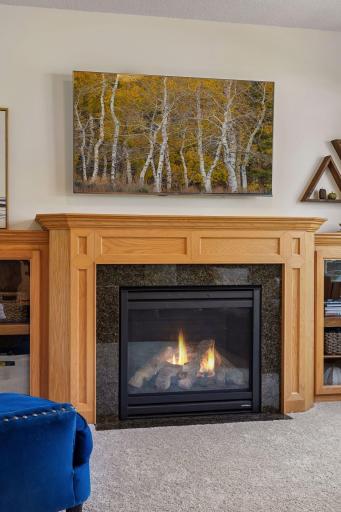 9537 Glacier Road, Minnetrista, MN 55375
