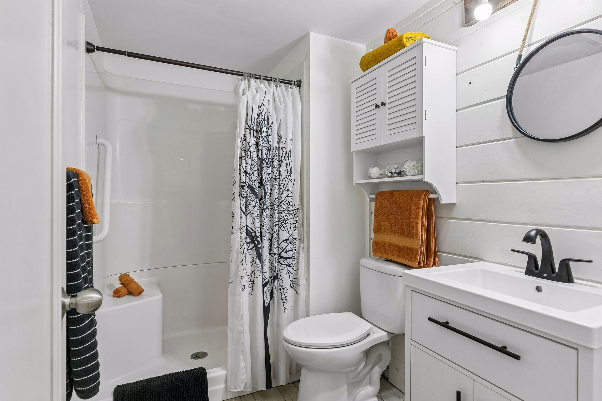 Lower level bathroom