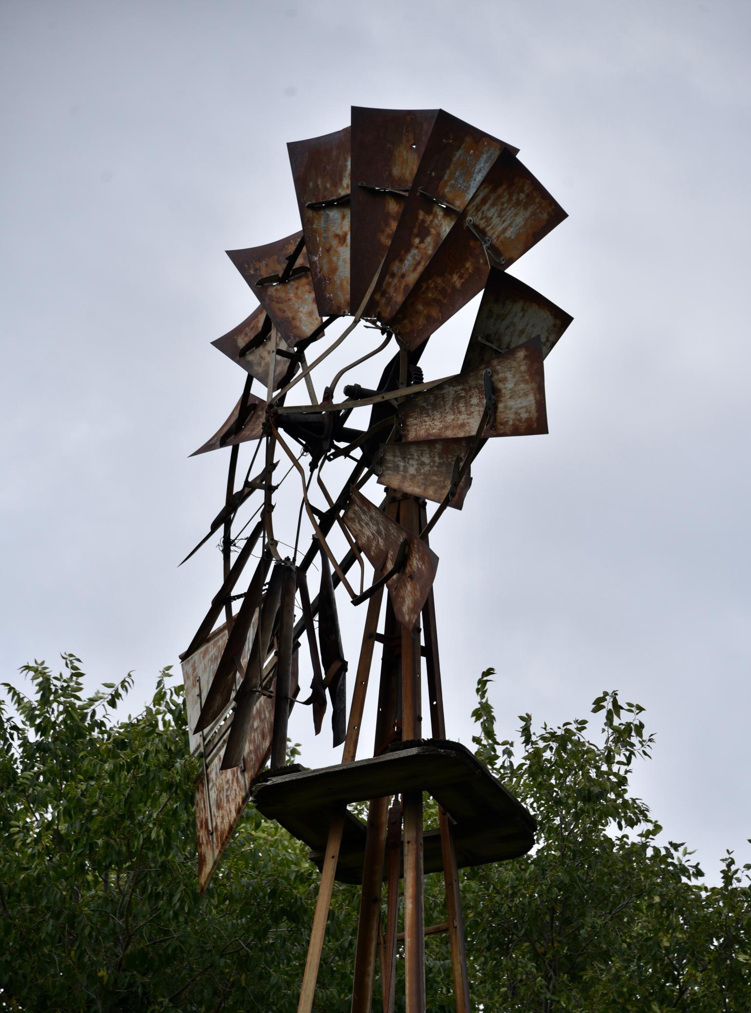DSC_5869.JPG
