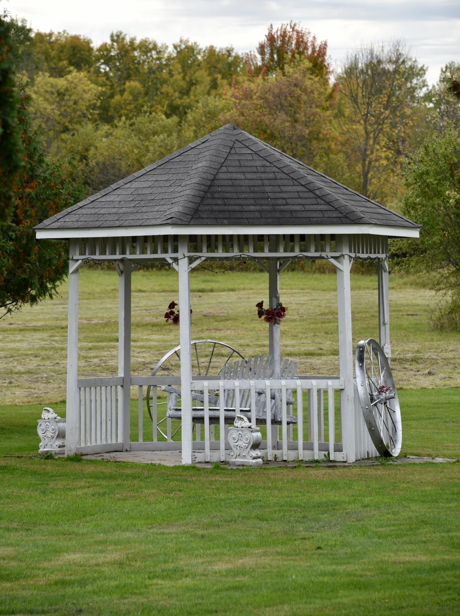 DSC_5858.JPG