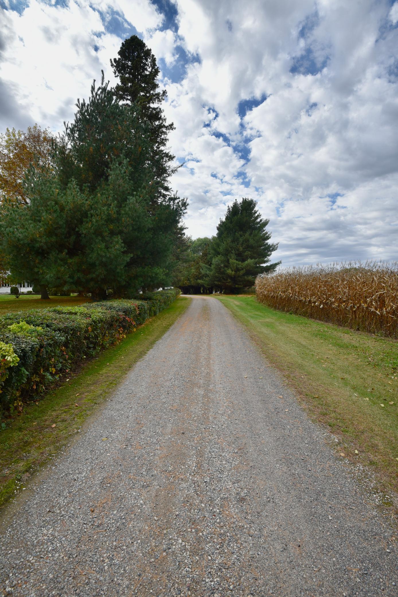 DSC_5883.JPG