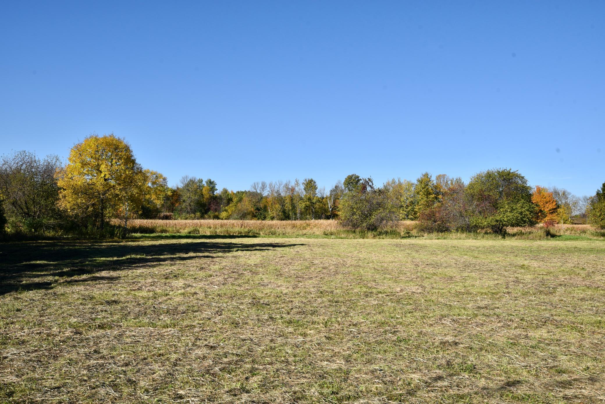 DSC_6031.JPG