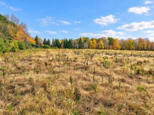Lot 1 Country Road B, Woodville, WI 54028