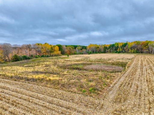 Lot 1 Country Road B, Woodville, WI 54028