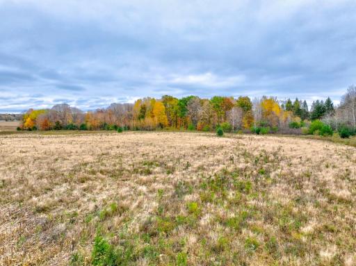 Lot 1 Country Road B, Woodville, WI 54028