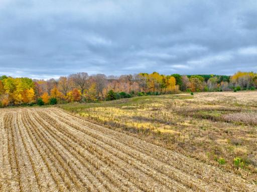 Lot 1 Country Road B, Woodville, WI 54028