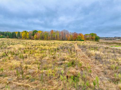 Lot 1 Country Road B, Woodville, WI 54028