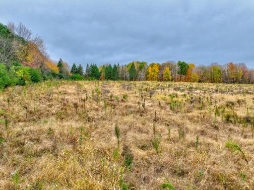 Lot 1 Country Road B, Woodville, WI 54028