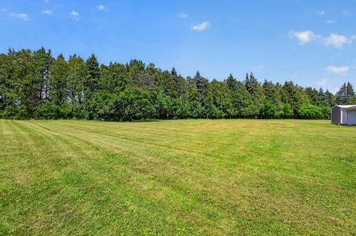 Lots of green space for whatever your needs are - zoned agricultural so you can even have a horse or two!