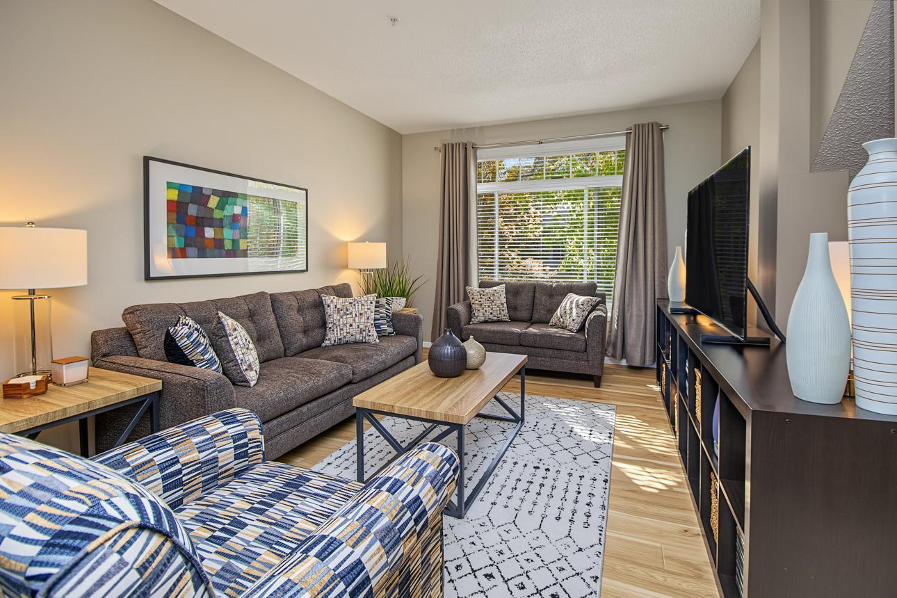 Spacious living room has hardwood floors and tons of natural light!
