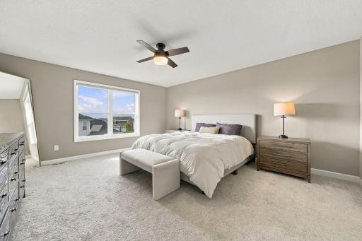 Spacious primary suite. Walk-in closet has custom shelving.