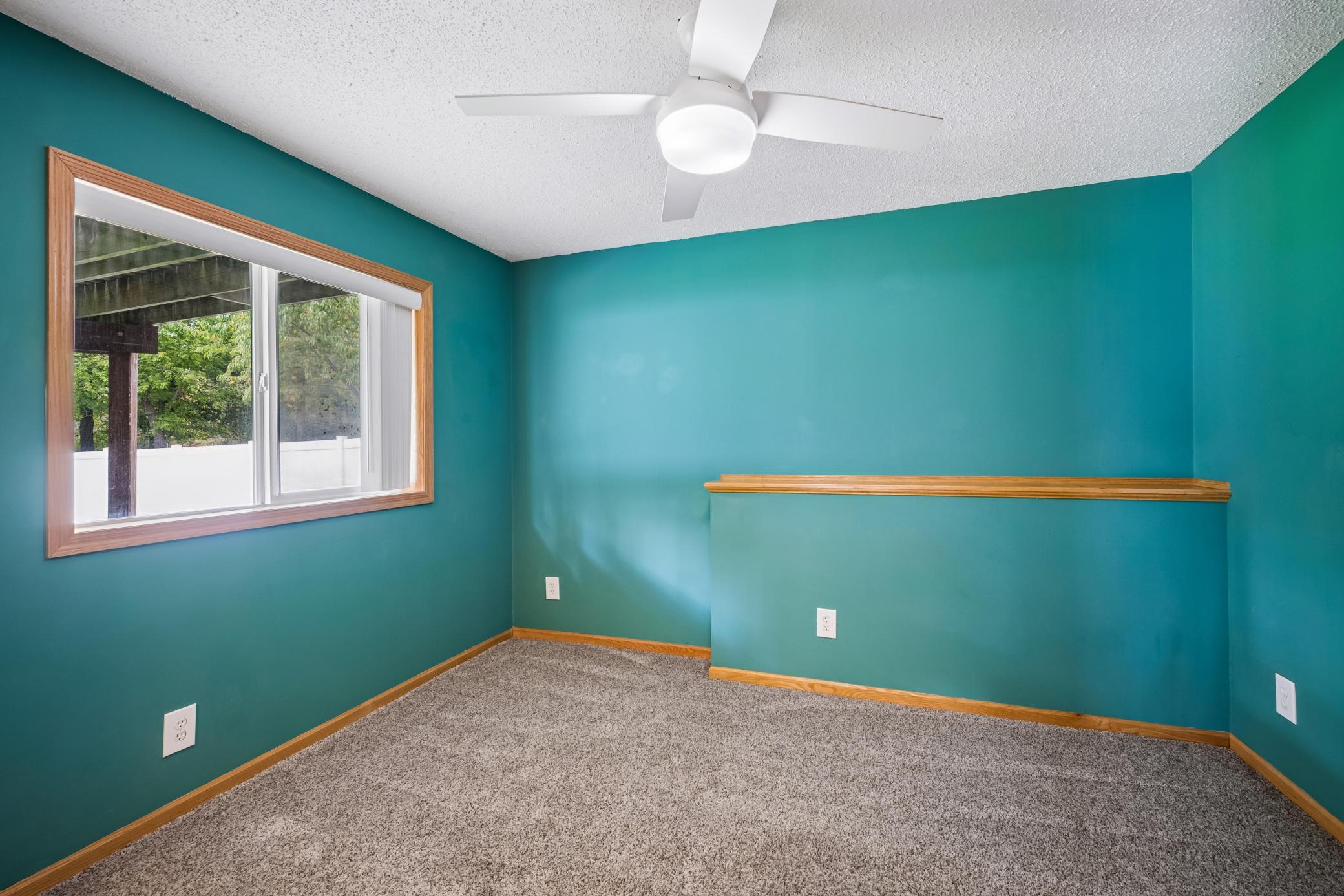 Lower level bedroom with professional closet organizer