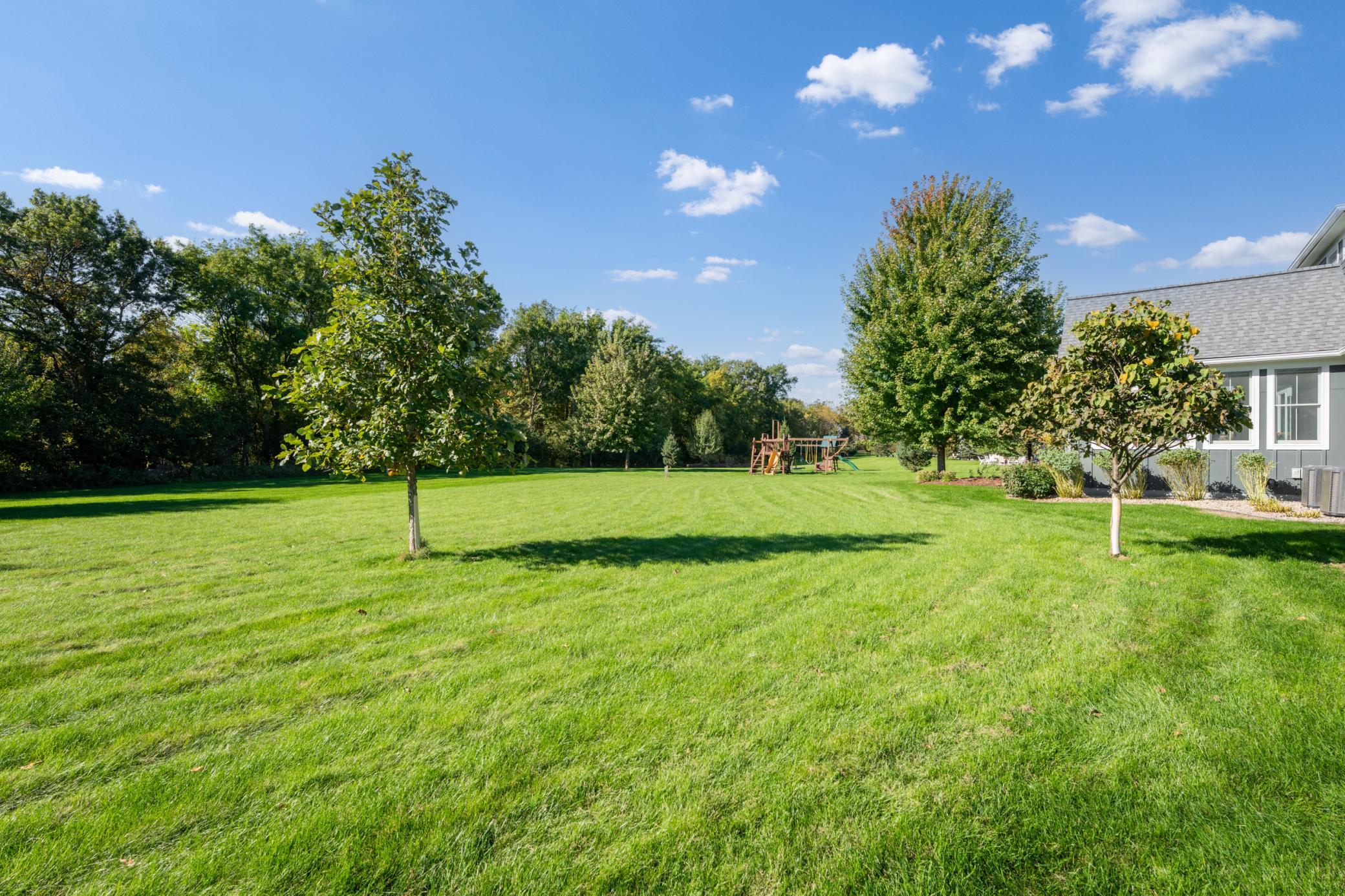 Mature & Newly Planted Trees for Privacy