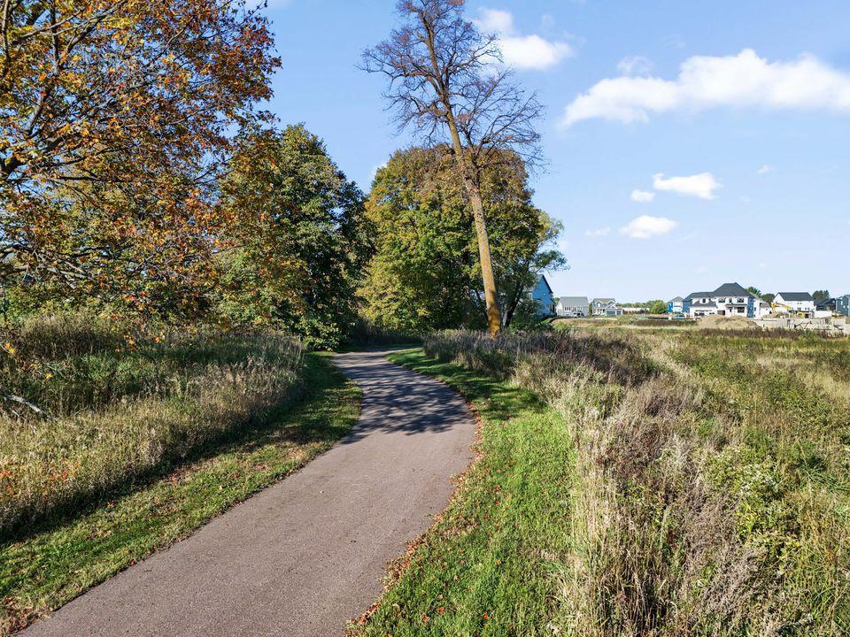 Lots of Mature trees