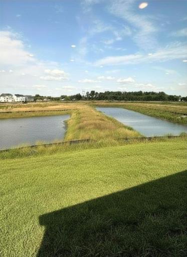 What that beautiful walkout home site looks like with sod!