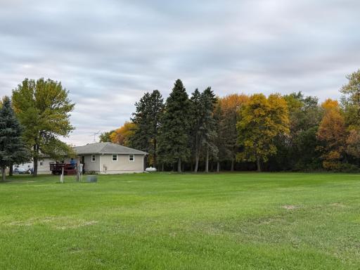View from the northeast corner of the yard