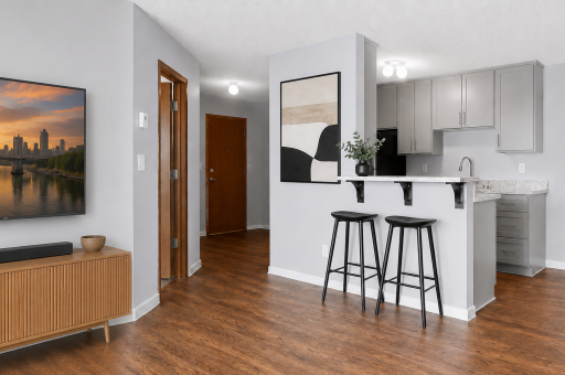 433 S 7th Street, 2113, Minneapolis, MN 55415