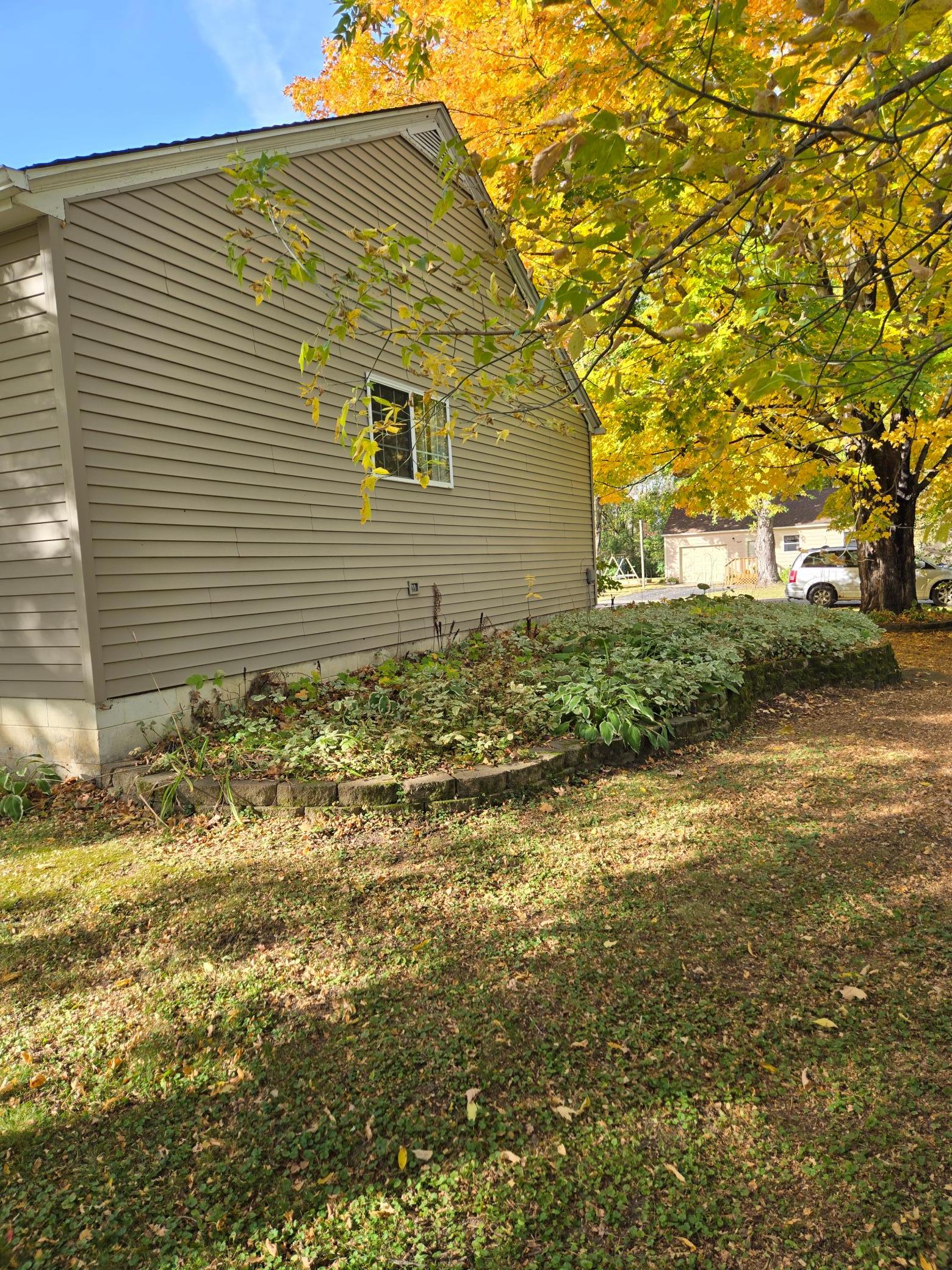 Beautifully landscaped garden bed featuring lush hostas and decorative stone edging, complemented by a gorgeous mature tree showcasing vibrant fall colors.