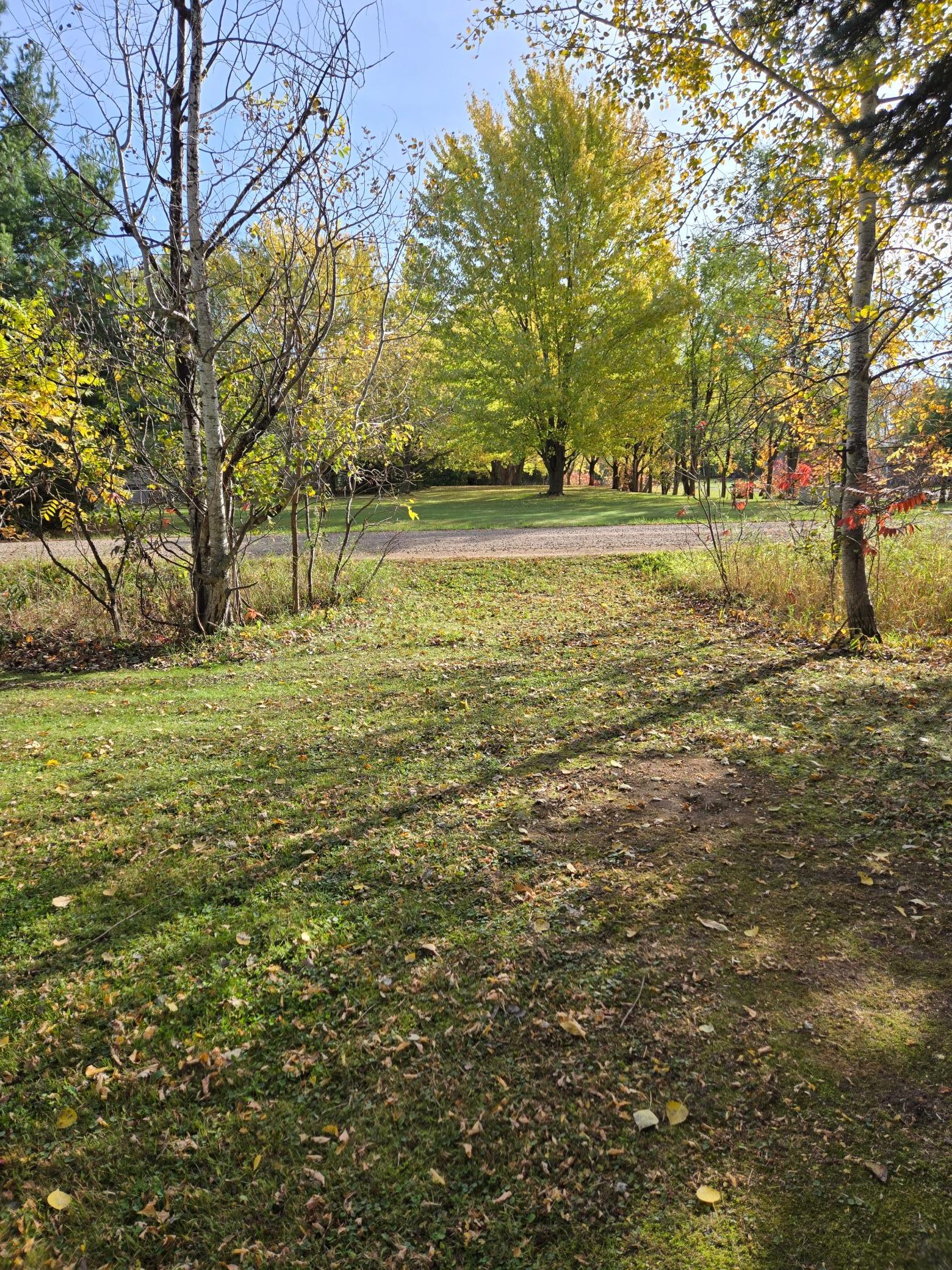 Convenient access to 115th Ave!