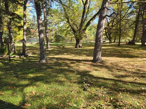 Enjoy the peaceful outdoor setting with towering mature trees, open green space, and plenty of room for outdoor activities and relaxation.