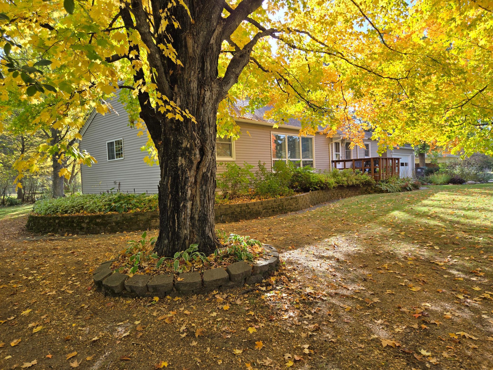 Gorgeous mature trees display vibrant autumn colors, creating a peaceful, park-like setting surrounding the home. Attractive landscaping and retaining walls add to the property's natural charm.