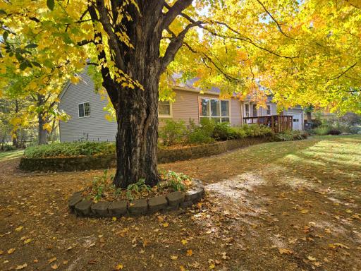 Gorgeous mature trees display vibrant autumn colors, creating a peaceful, park-like setting surrounding the home. Attractive landscaping and retaining walls add to the property's natural charm.