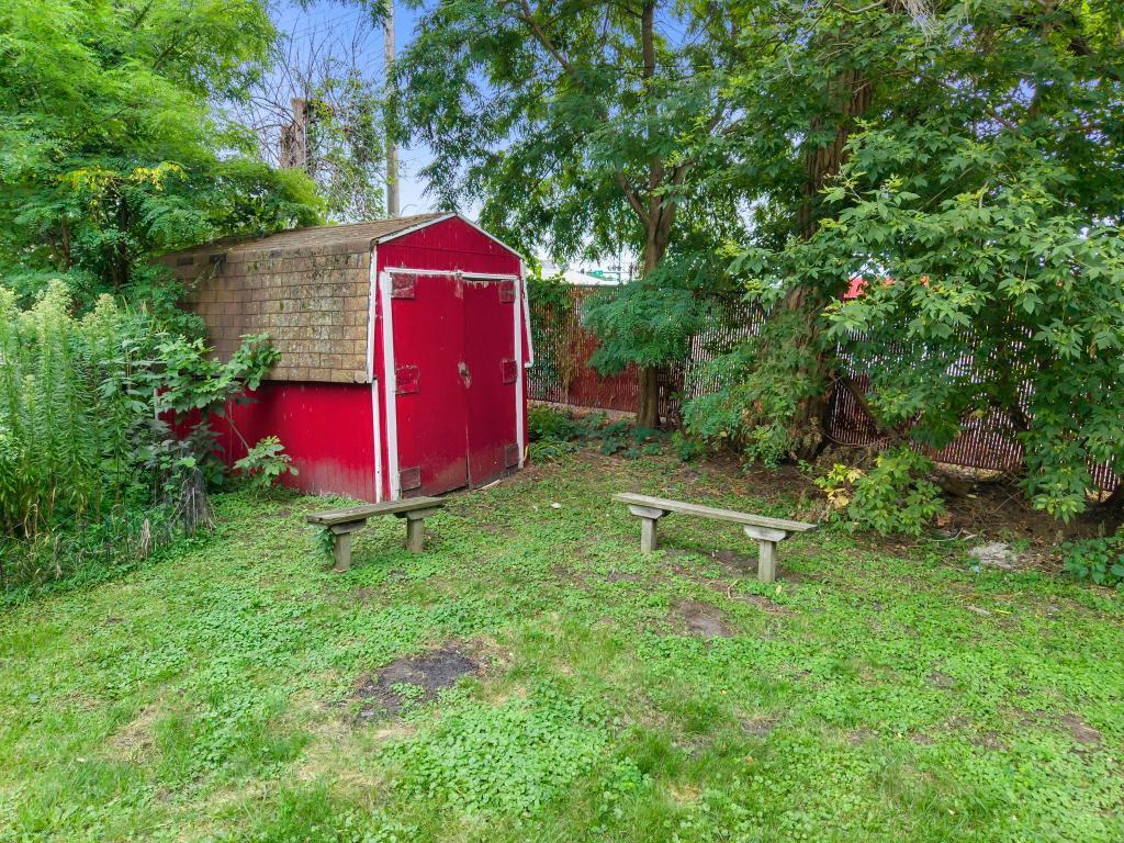 Back yard
