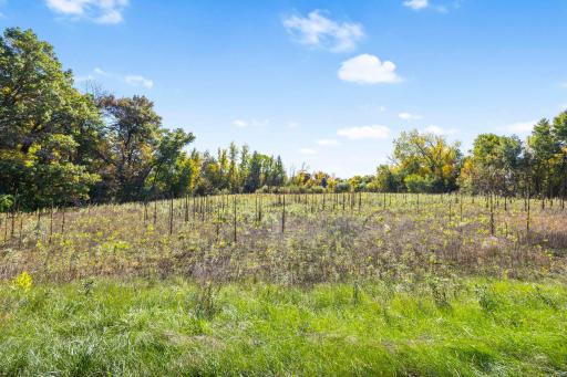 Lot 2 328th Avenue NE, Cambridge, MN 55008