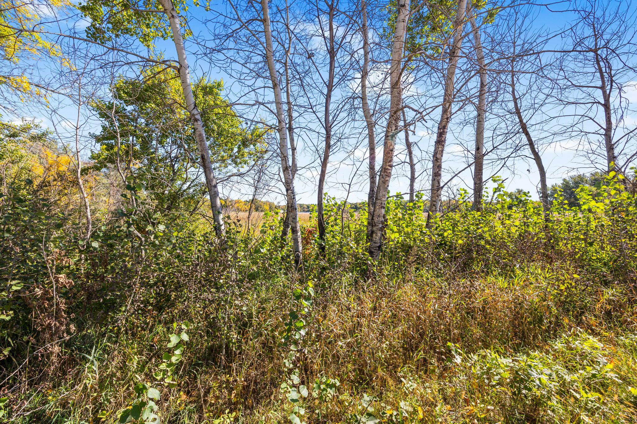 16-web-or-mls-3684 328th Ave NE-84.jpg